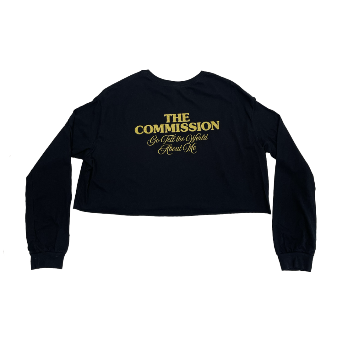 Commissioned Crop Top Long Sleeve
