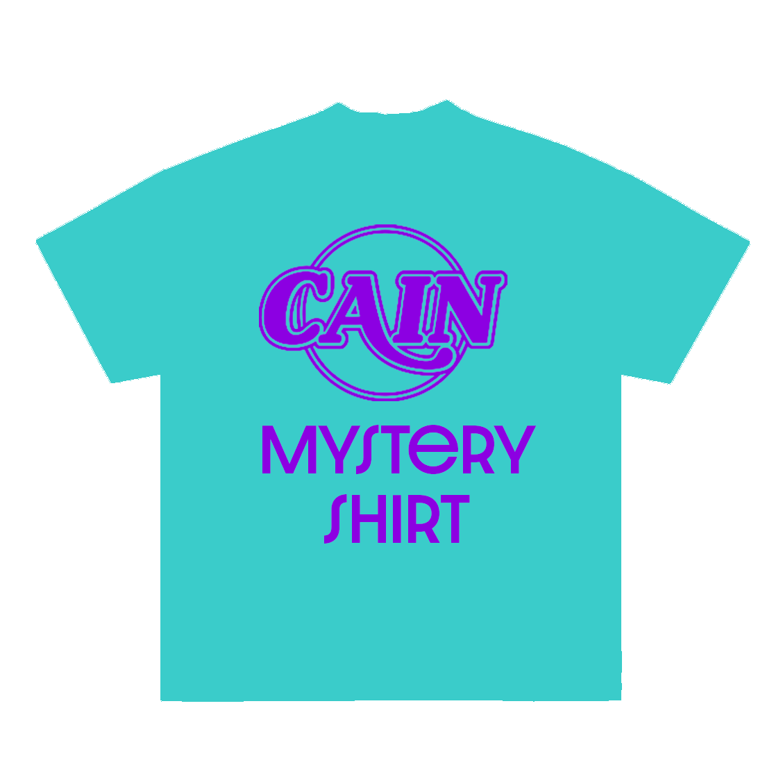 $15 Mystery Tee